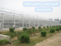阳光板温室建设成本    阳光板温室设备