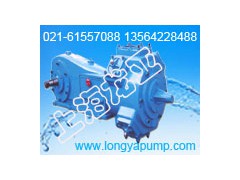 LW300-950-20-90工业污水泵