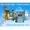 PF125-100-250强防腐提升泵