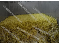 南昌绿驰豆芽机大型豆芽生产线生产设备