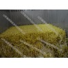 南昌绿驰豆芽机大型豆芽生产线生产设备