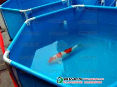 广西-储水帆布鱼池定制加工-防水帆布供应