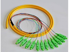 12芯束状尾纤 12芯束状尾纤SC APC 电信级别单模