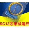 12芯束状尾纤SC方头FC圆头单模光纤跳纤电信级可订做ST