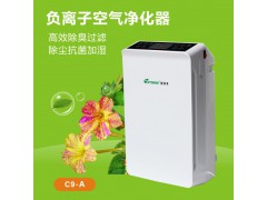 C9-A空气净化器生产厂家批发