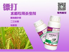 水稻螟虫农药水稻螟虫杀虫剂打水稻螟虫的药