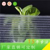 上海捷耐 4mm半透明晶亮PC阳光板 户外耐高温