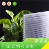 上海捷耐厂家直销 防紫外线重量轻 6mm蜂窝阳光板