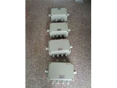 BJX51-10/100R2L3X2D4防爆接线箱