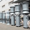 QZB轴流泵|干式电机潜水轴流泵|天津德能泵业厂家供应