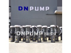 DN300QSZ-7潜水轴流泵生产厂家
