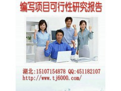 湖北省武汉市专业代写项目项目融资报告、项目融资商业计划书
