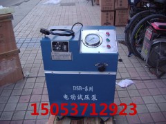 鑫宏6DSB电动试压泵  电动试压泵型号 打压泵