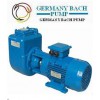 自吸排污泵 进口自吸污水泵、德国BACH泵品牌