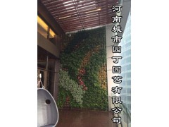 郑州健身房绿植墙制作项目 河南城市园丁郑州健身房绿植墙制作