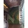 郑州健身房绿植墙制作项目 河南城市园丁郑州健身房绿植墙制作