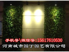 郑州健身房绿植墙制作丨有了这堵墙你才可以呼吸