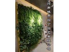 郑州健身房绿植墙制作|-河南城市园丁园艺有限公司
