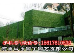 郑州健身房绿植墙制作_立体垂直绿化_河南城市园丁园艺有限公司
