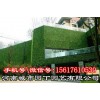 郑州健身房绿植墙制作_立体垂直绿化_河南城市园丁园艺有限公司
