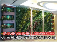 郑州围挡立体绿化、郑州护坡垂直绿化-郑州健身房绿植墙制作