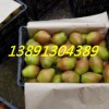 近期陕西冷库红香酥梨产地批发价格走势