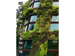 夏季垂直绿化郑州健身房植物墙有哪些公司做的好制作-城市园丁