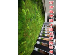 郑州健身房植物墙有哪些公司做的好制作-设计师绿墙