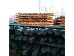 厂家专供各种型号 防腐油木杆任丘市振华防腐材料有限公司