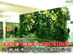 郑州酒店植物墙制作|垂直绿化|——河南城市园丁园艺有限公司