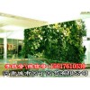 郑州酒店植物墙制作|垂直绿化|——河南城市园丁园艺有限公司