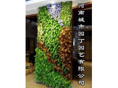 郑州酒店植物墙制作_立体垂直绿化_河南城市园丁园艺有限公司