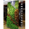 郑州酒店植物墙制作_立体垂直绿化_河南城市园丁园艺有限公司