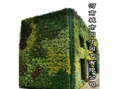 郑州护坡垂直绿化-河南郑州酒店植物墙制作|围挡立体