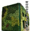郑州护坡垂直绿化-河南郑州酒店植物墙制作|围挡立体