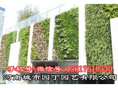 城市园丁郑州酒店植物墙制作-河南城市园丁园艺有限公司.