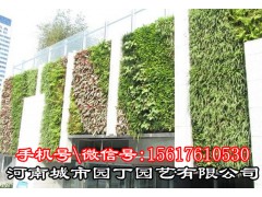 城市园丁郑州酒店植物墙制作-河南城市园丁园艺雷竞技登录.