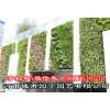 城市园丁郑州酒店植物墙制作-河南城市园丁园艺有限公司.