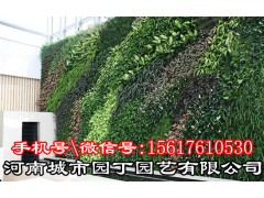 郑州酒店植物墙的基本特点,首选城市园丁