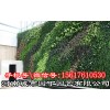 郑州酒店植物墙的基本特点,首选城市园丁