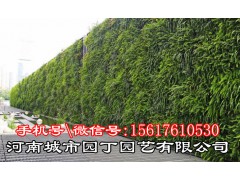 城市园丁郑州健身房植物墙制作产品;城市园丁生态绿墙