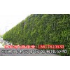 城市园丁郑州健身房植物墙制作产品;城市园丁生态绿墙