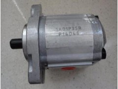 台湾HONOR齿轮泵1PM5P16R 1PM5P09R