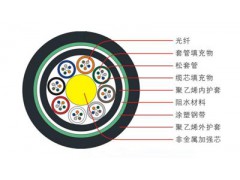 广州汉信-GYFTY53层绞式非金属加强芯铠装光缆