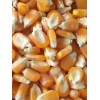 玉米收购企业 常年求购玉米高粱大豆棉粕次粉荞麦油糠
