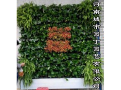 郑州别墅绿植墙——河南城市园丁园艺有限公司