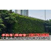 城市园丁郑州别墅绿植墙制作产品;城市园丁生态绿墙