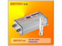 BERSN250W金卤灯镇流器HID路灯金卤灯150W镇流器