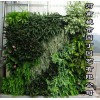 城市园丁郑州阳台生态墙制作产品;城市园丁生态绿墙