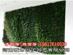 郑州阳台生态墙制作|垂直绿化|屋顶花园|定制景观